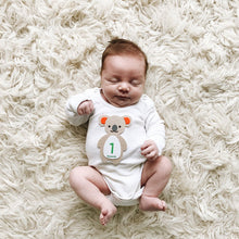 Load image into Gallery viewer, Animals Baby Milestone Felt Sticker Card Set
